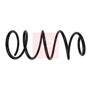 Apec Front Suspension Coil Spring ACS1943