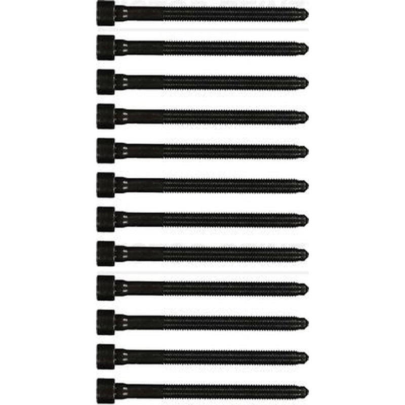 Victor Reinz Cylinder Head Bolt Set M10 14-32276-02