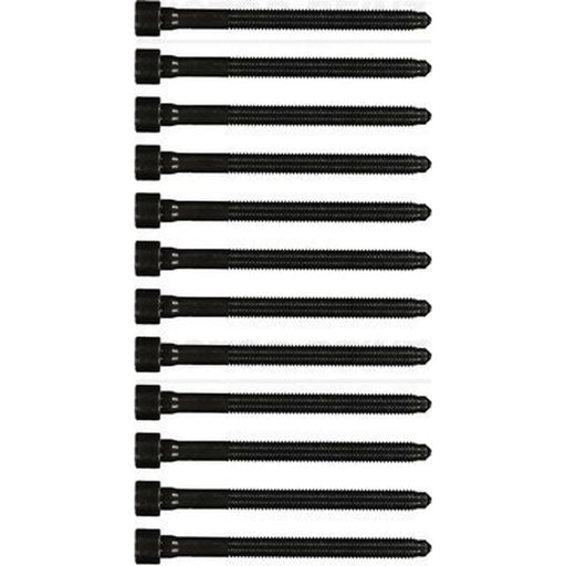 Victor Reinz Cylinder Head Bolt Set M10 14-32276-02