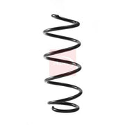 Apec 2 x Suspension Springs ACS2410