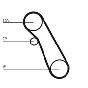 Continental CTAM Timing Belt Kit with Rollers CT983K1