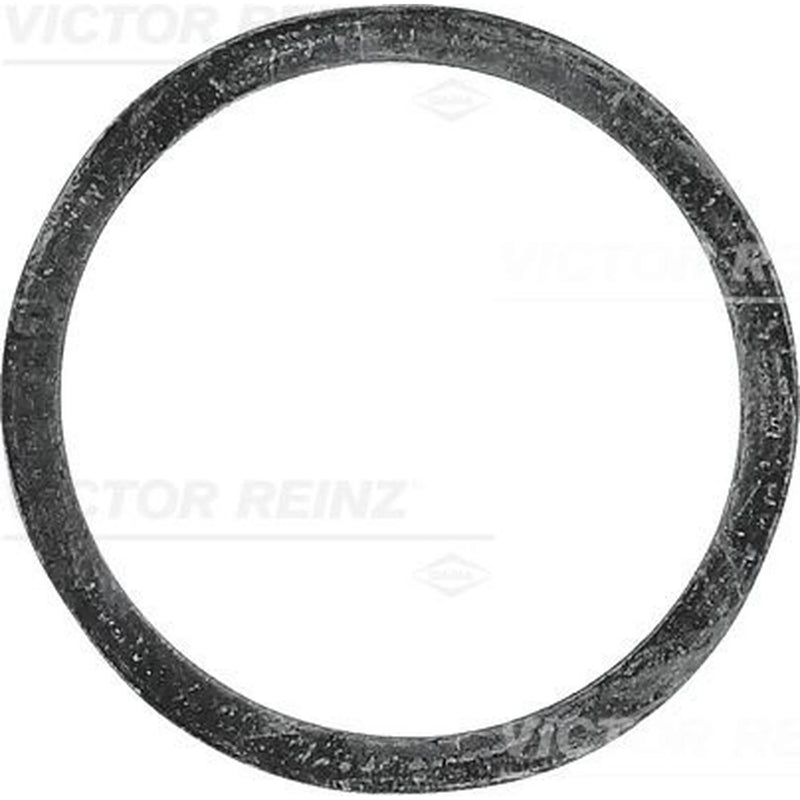 Victor Reinz Sealing Ring Gasket 40-77339-00