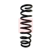 Apec Rear Suspension Coil Spring ACS2091