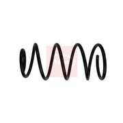 Apec Front Suspension Coil Spring ACS1759