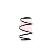 Apec Front Suspension Coil Spring ACS1504