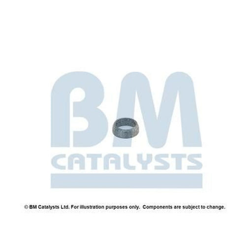 BM Catalysts Fitting Kit FK91590A FK91590A