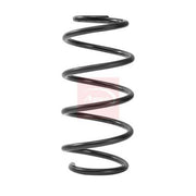 Apec Front Suspension Coil Spring ACS2467