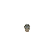 Bosch Fuel Rail Pressure Relief Valve (Common Rail Diesel) 1 110 010 023