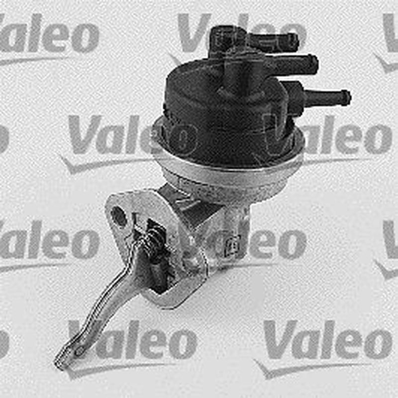 Valeo Fuel Pump Assembly 247148