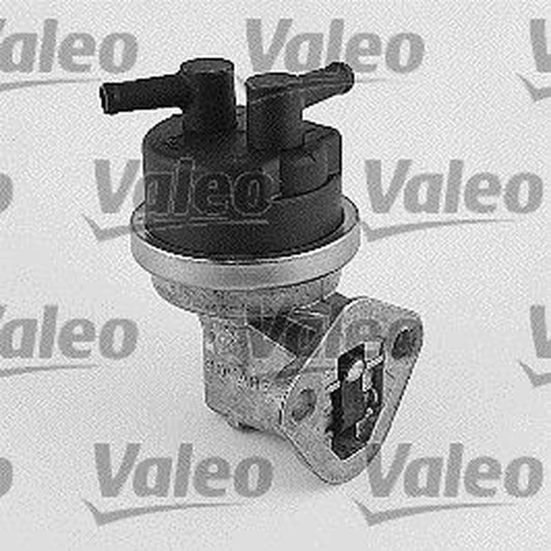 Valeo Fuel Pump Assembly 247078