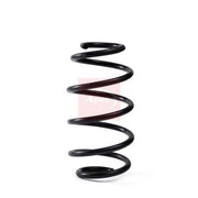 Apec Front Suspension Coil Spring ACS2081