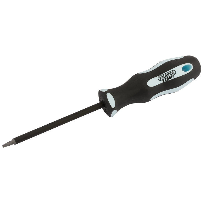 Draper Expert Square Recess Screwdriver S1 x 100mm