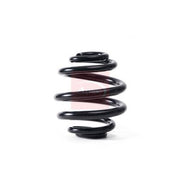 Apec 2 x Suspension Springs ACS1841