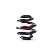 Apec Rear Suspension Coil Spring ACS1841