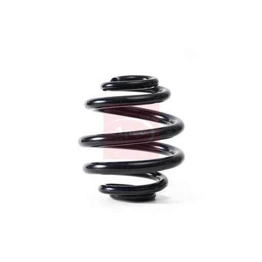 Apec Rear Suspension Coil Spring ACS1841