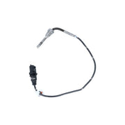 NRF Exhaust Gas Temperature Sensor before soot particulate f 707168