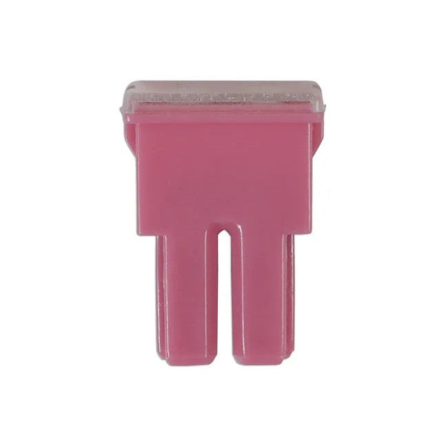 Connect Female PAL Fuses 30A 10pc - CPL