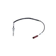 NRF Exhaust Gas Temperature Sensor before soot particula 707125