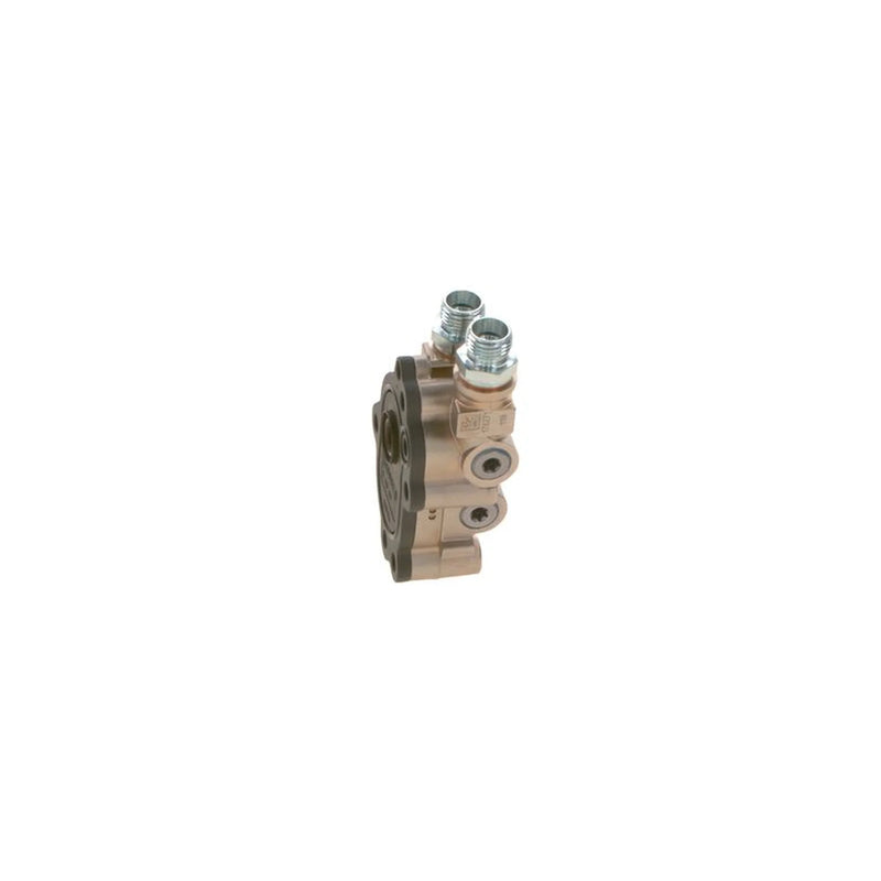 Bosch Fuel Pump Assembly 0 440 020 118