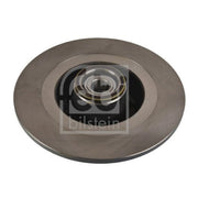 Febi 2 x Solid Rear Brake Discs 108200