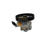 NAPA Power Steering Hydraulic Pump NPS1209
