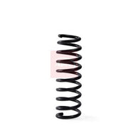 Apec Front & Rear Suspension Springs ACS2295