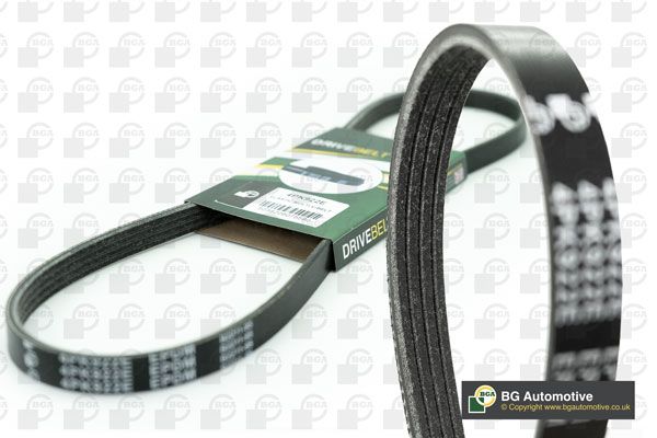 BGA Multi V-Ribbed Drive Belt