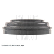 Blue Print Brake Drum Assembly Rear ADG04725