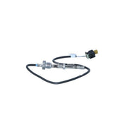 NRF Exhaust Gas Temperature Sensor before exhaust tur 707286