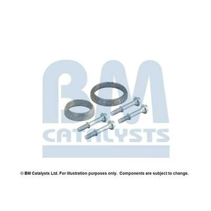 BM Catalysts Fitting Kit FK91839B FK91839B