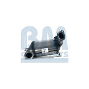 BM Catalysts Dpf BM11230