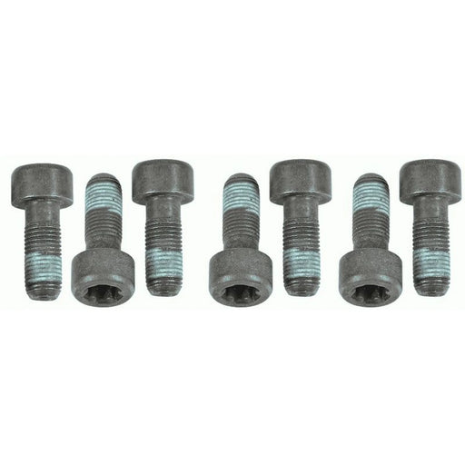 Sachs Dmf Screw Set (Special Order) 1874000054