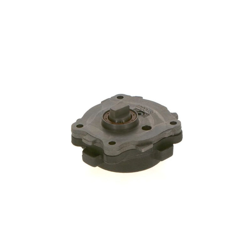 Bosch Fuel Pump Assembly 0 440 050 010