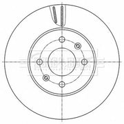 Borg & Beck 2 x Vented Front Brake Discs BBD5528