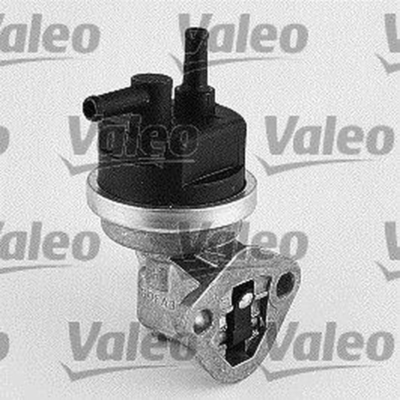 Valeo Fuel Pump Assembly 247108