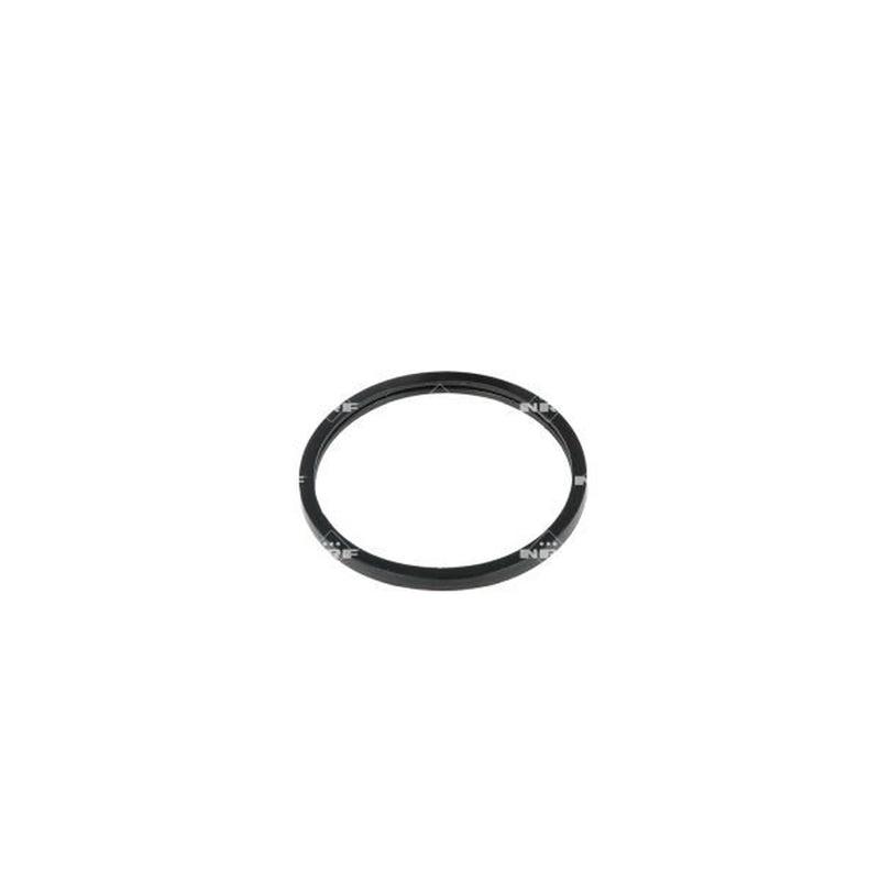 NRF Thermostat,Coolant 725194