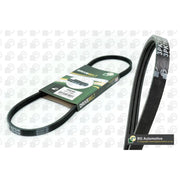 BGA Multi V-Ribbed Drive Belt 3PK977E