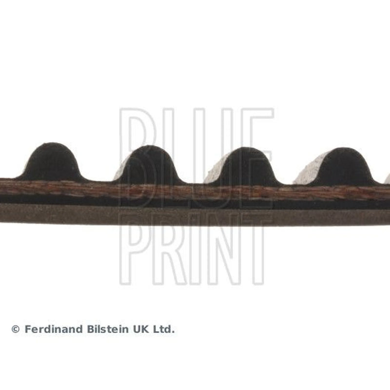 Blue Print Timing Belt Cambelt 228 Teeth ADN17515