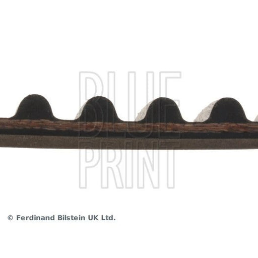Blue Print Timing Belt Cambelt 228 Teeth ADN17515