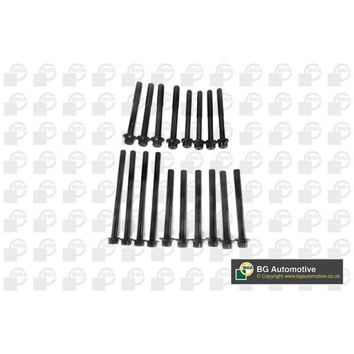 BGA Cylinder Head Bolt Set M10,M12 BK2319
