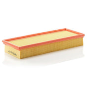 MANN-FILTER Engine Air Filter C 39 161