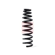 Apec Front Suspension Coil Spring ACS1725