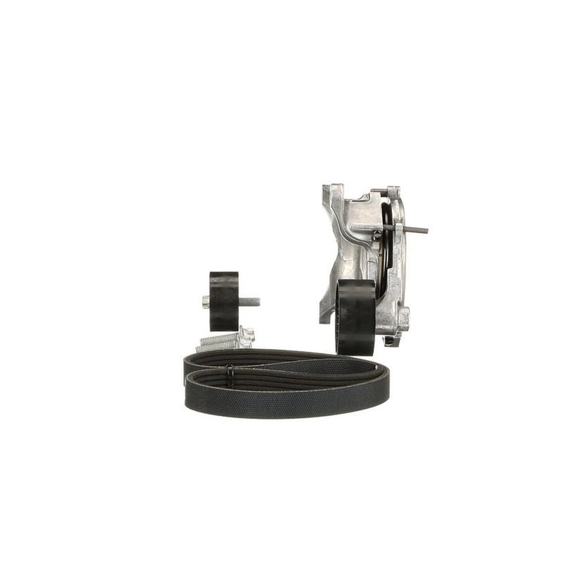 Gates V-Ribbed Belt Set K015PK1256EST