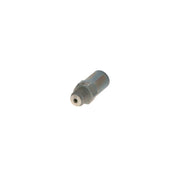 Bosch Fuel Rail Pressure Relief Valve (Common Rail Diesel) 1 110 010 038