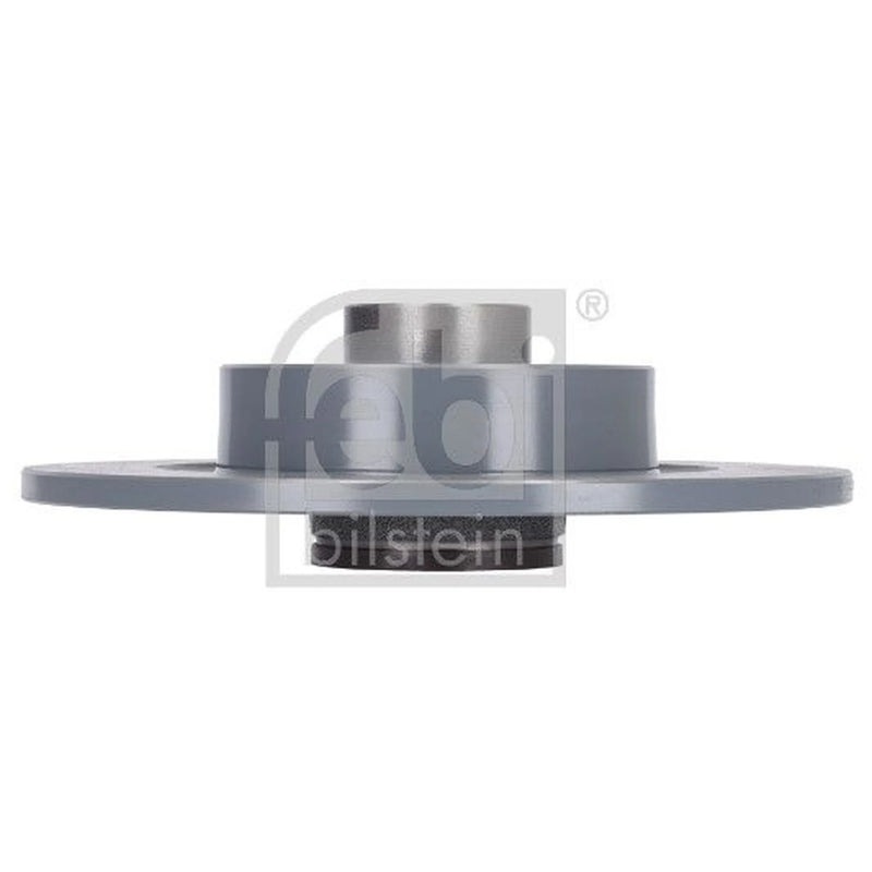 Febi 2 x Rear Brake Discs 185812