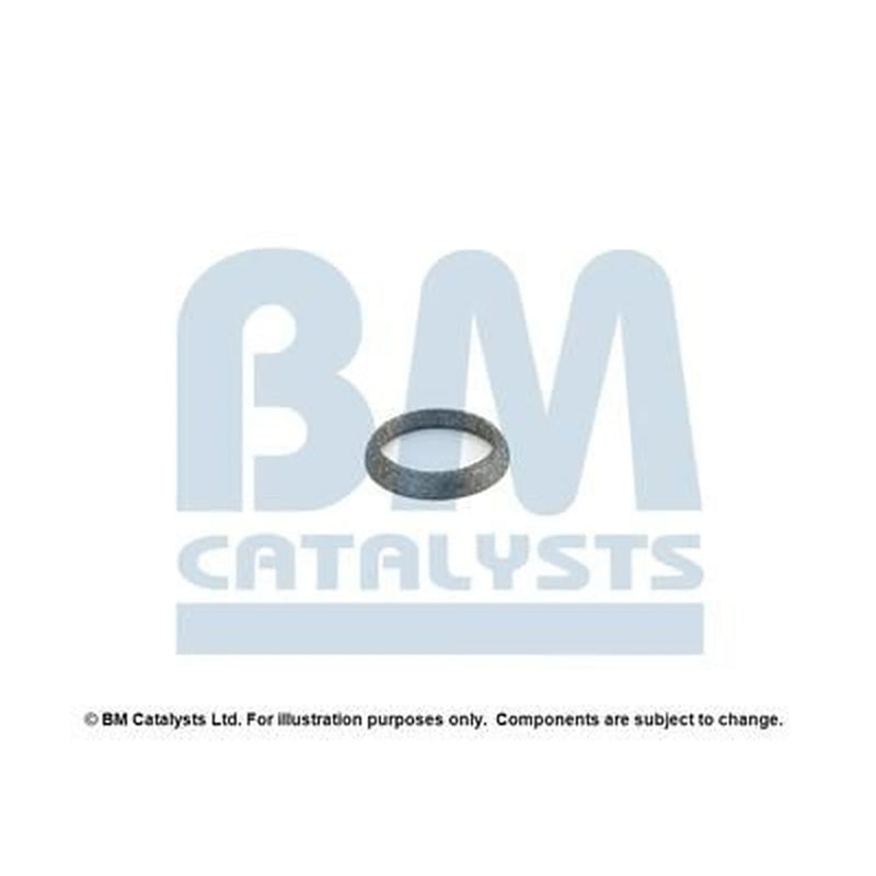 BM Catalysts Fitting Kit FK80157A FK80157A