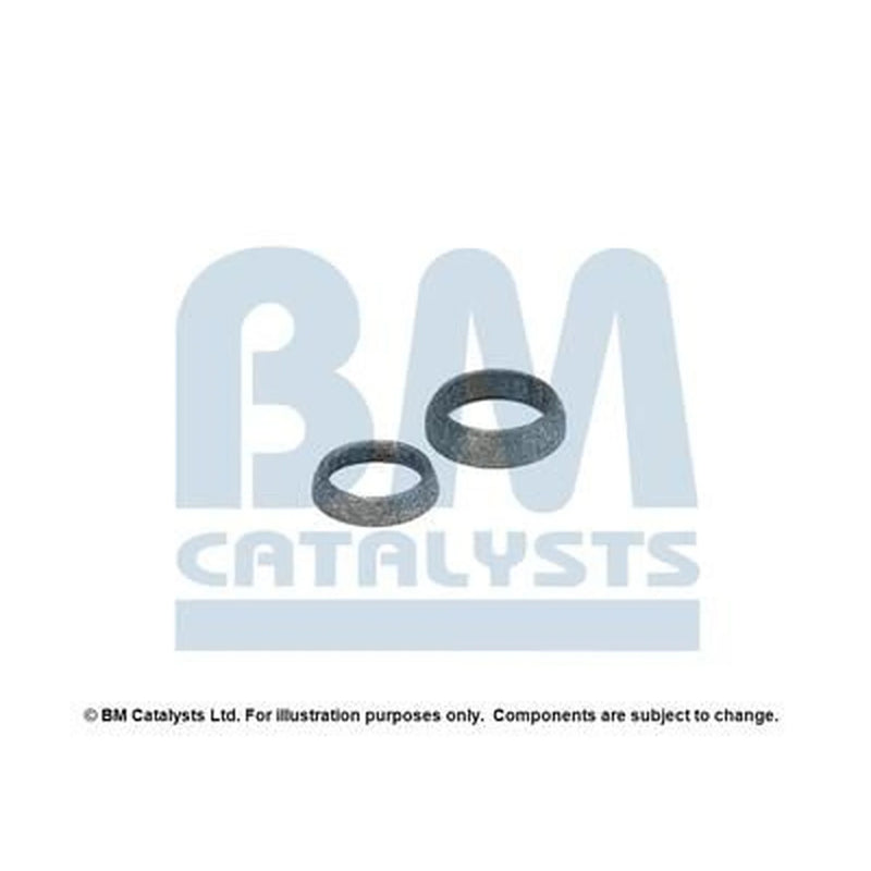 BM Catalysts Fitting Kit FK91875A FK91875A