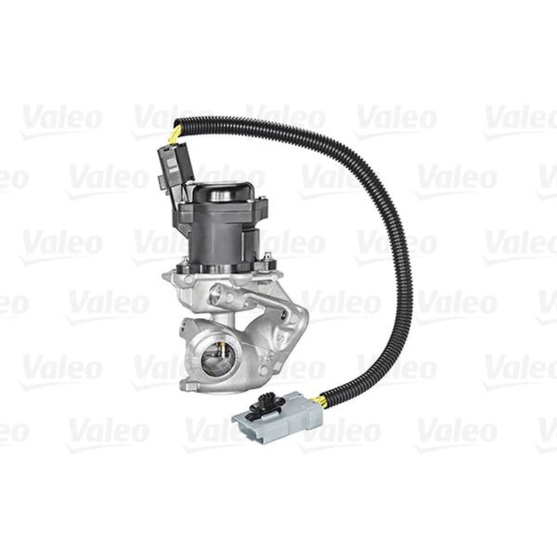 Valeo Exhaust Gas Recirculation Valve 700409