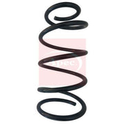 Apec Front & Rear Suspension Springs ACS2112