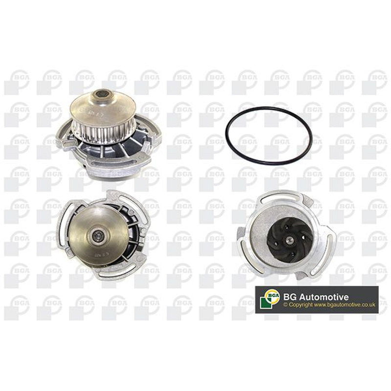 BGA Engine Cooling Water Pump CP2794